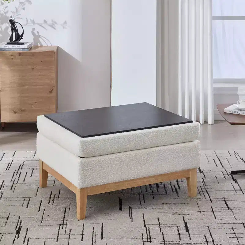 TUYOHW Poggiapiedi moderno con contenitore, poggiapiedi imbottito con coperchio reversibile, tavolino versatile per soggiorno, camera da letto, ingresso